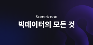 빅데이터 분석 플랫폼, 썸트렌드(Sometrend)