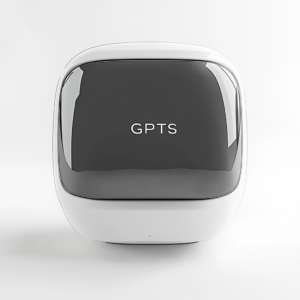 GPTs