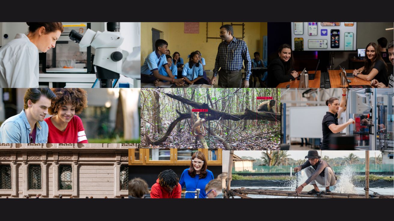 Amplifying Human Achievement: Stories of AI Impact in 2024