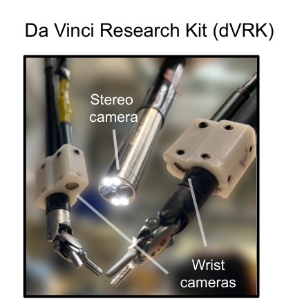 Surgical Robot Transformer SRT Imitation Learning for Surgical Tasks