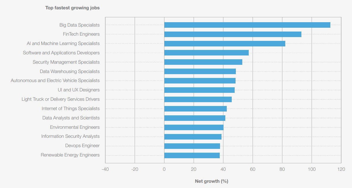 The Future of Jobs Report 2025