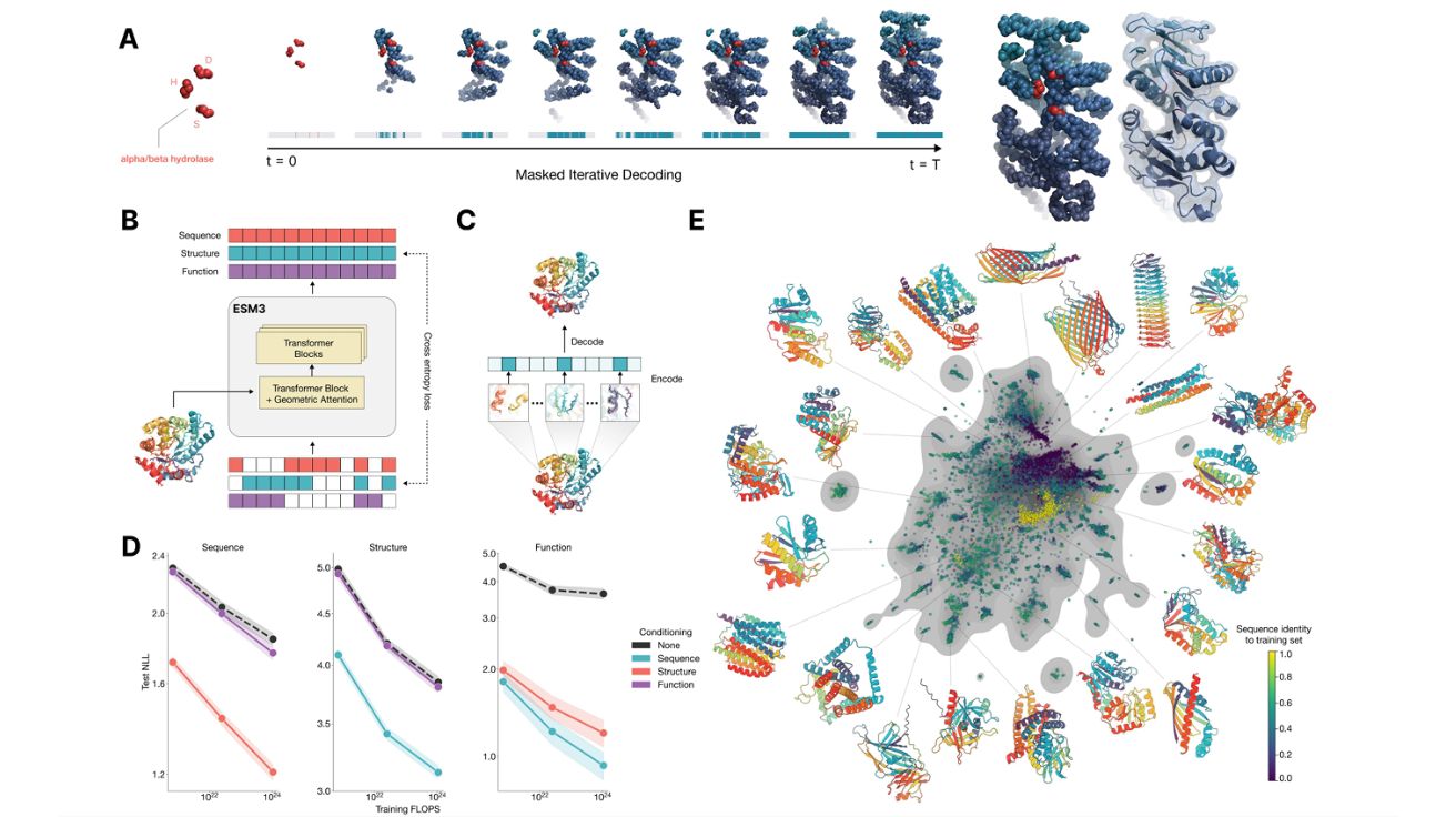 Simulating 500 million years of evolution with a language model