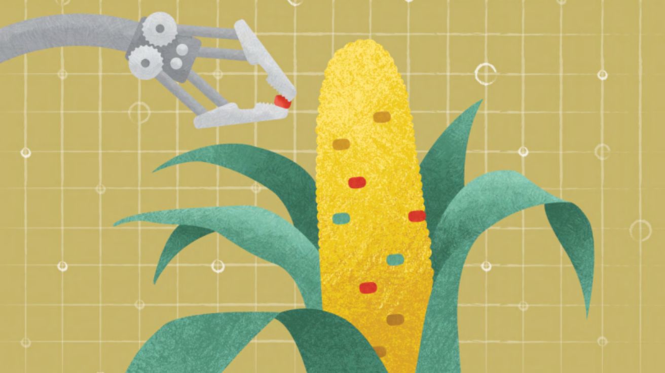 When chatbots breed new plant varieties: Generative Artificial Intelligence and New Genetic Engineering Techniques