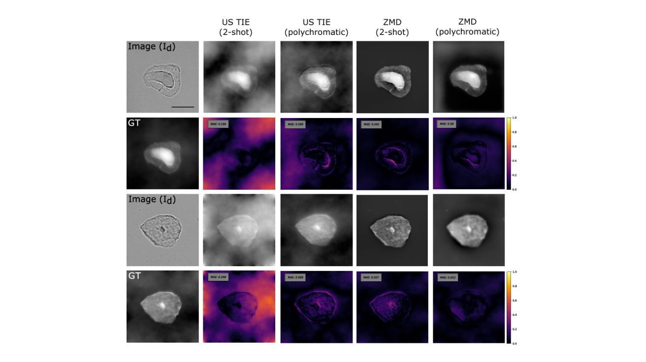 Single Exposure Quantitative Phase Imaging with a Conventional Microscope using Diffusion Models