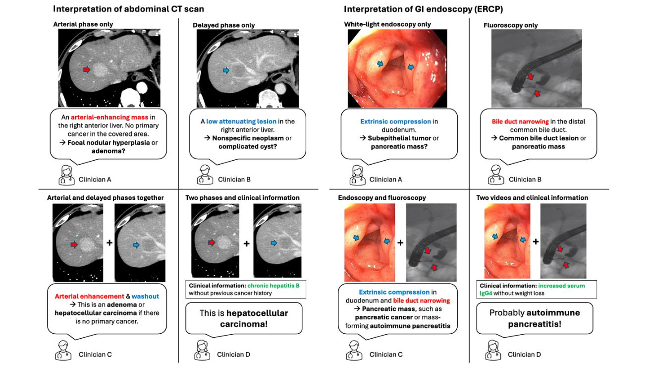 Multimodal generative AI for interpreting 3D medical images and videos