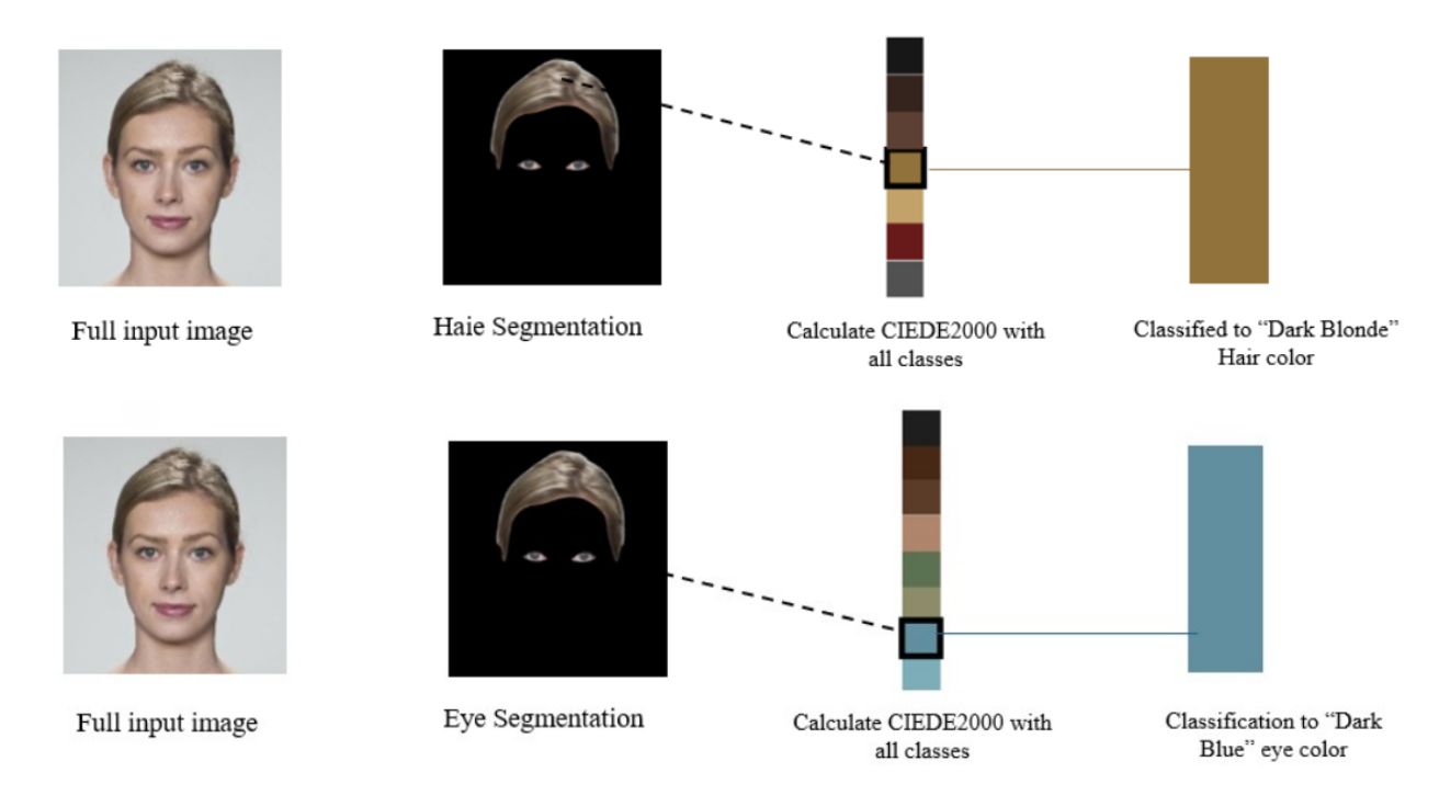 Colors Matter: AI-Driven Exploration of Human Feature Colors