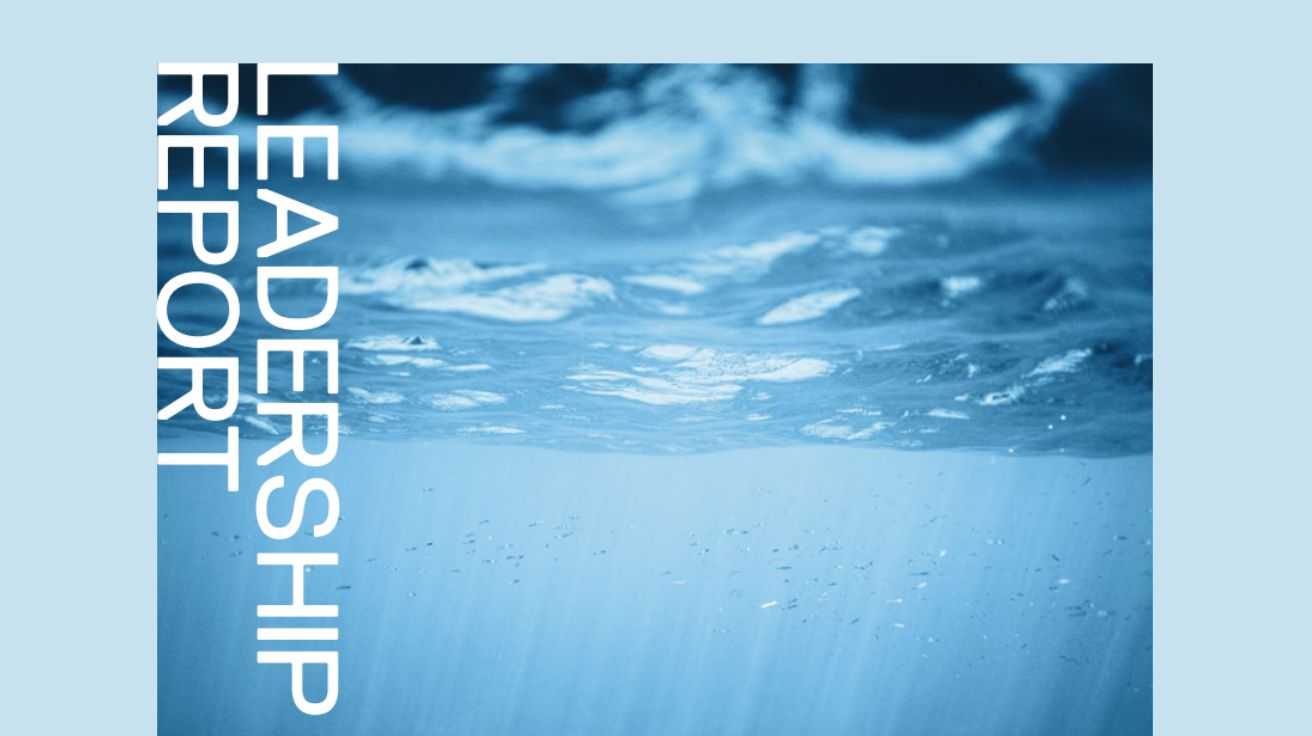 Evident AI Leadership Report