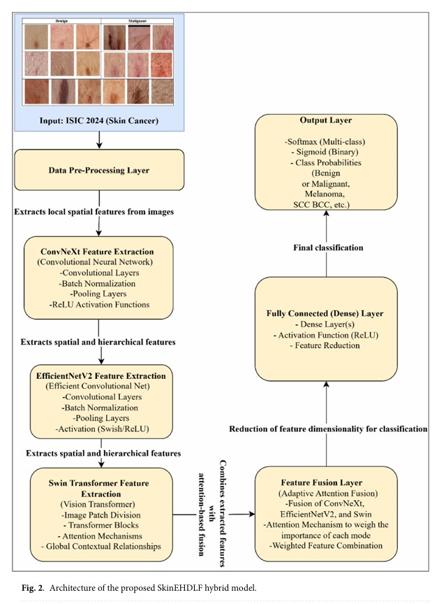 SkinEHDLF a hybrid deep learning approach for accurate skin cancer classification in complex systems
