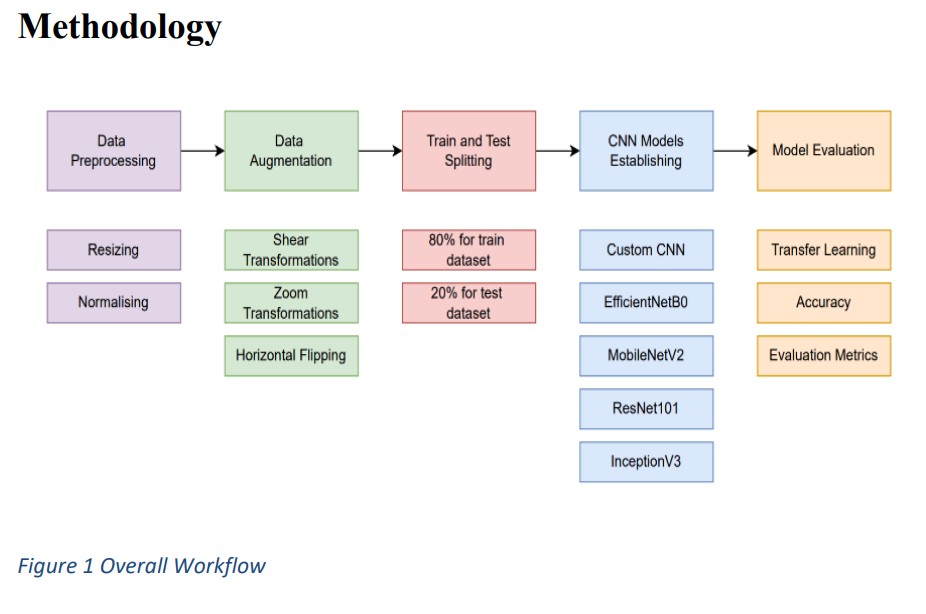 Comparative Analysis of Deep Learning Models for Crop Disease Detection A Transfer Learning Approach