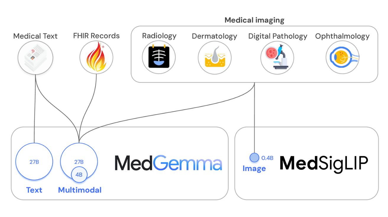 MedGemma Technical Report