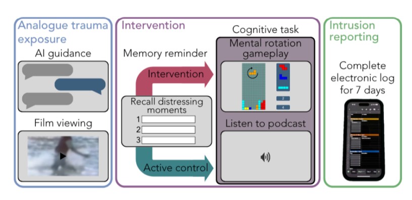 AI-guided digital intervention with physiological monitoring reduces intrusive memories after experimental trauma