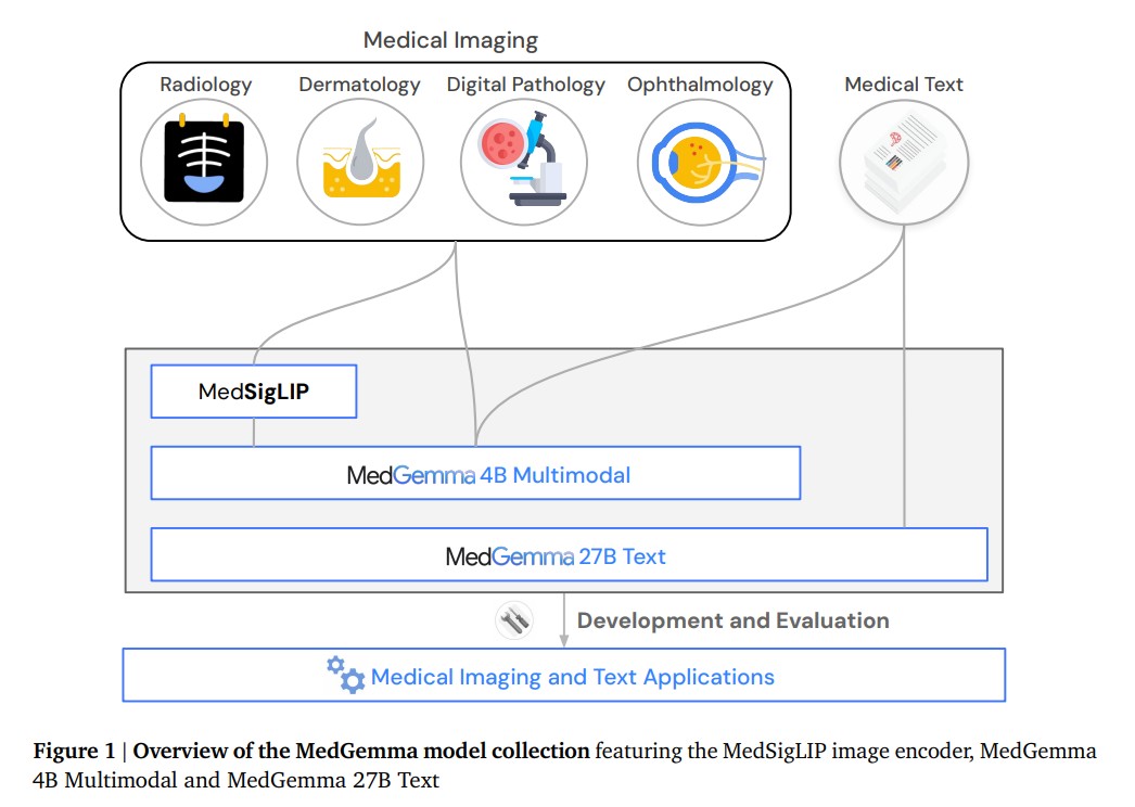 MedGemma Technical Report