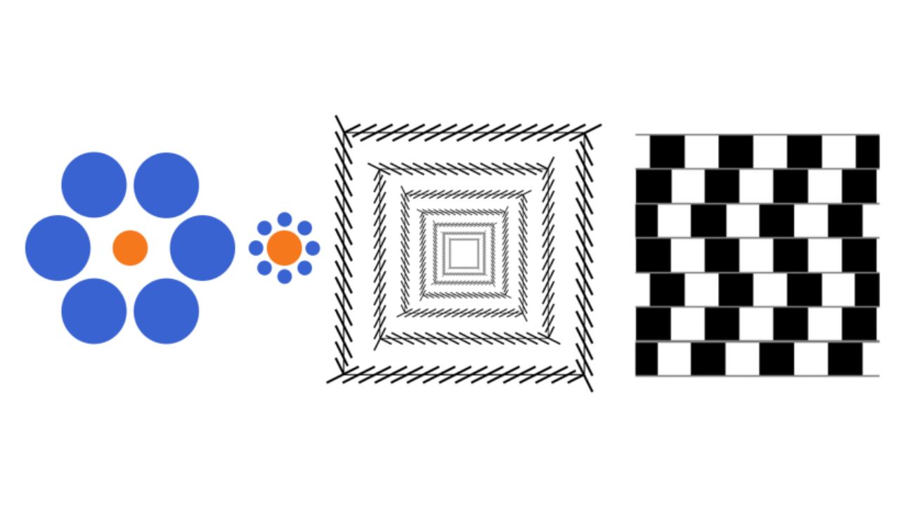 Illusions in Humans and AI: How Visual Perception Aligns and Diverges
