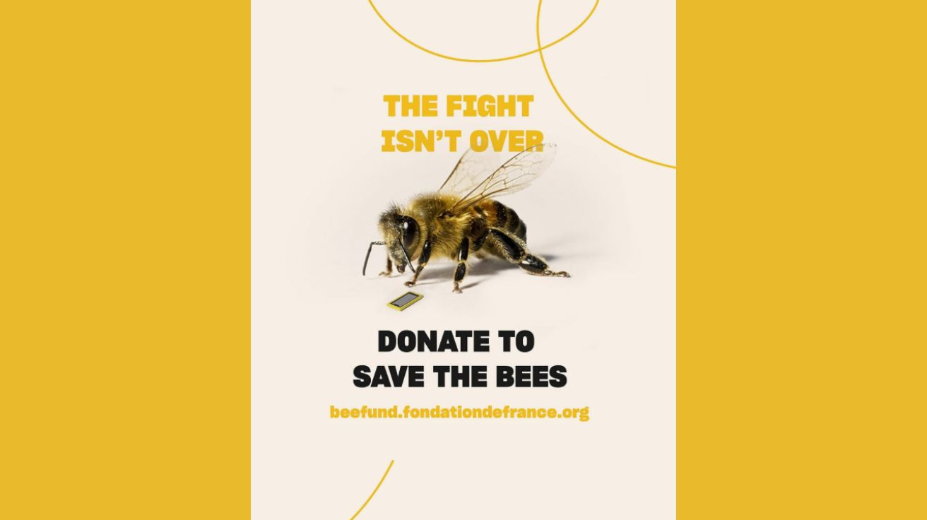 [리얼 캠페인 탐구] “팔로우 한 번으로 꿀벌을 살린다” 60만 명이 움직인 AI 인플루언서 'Bee'