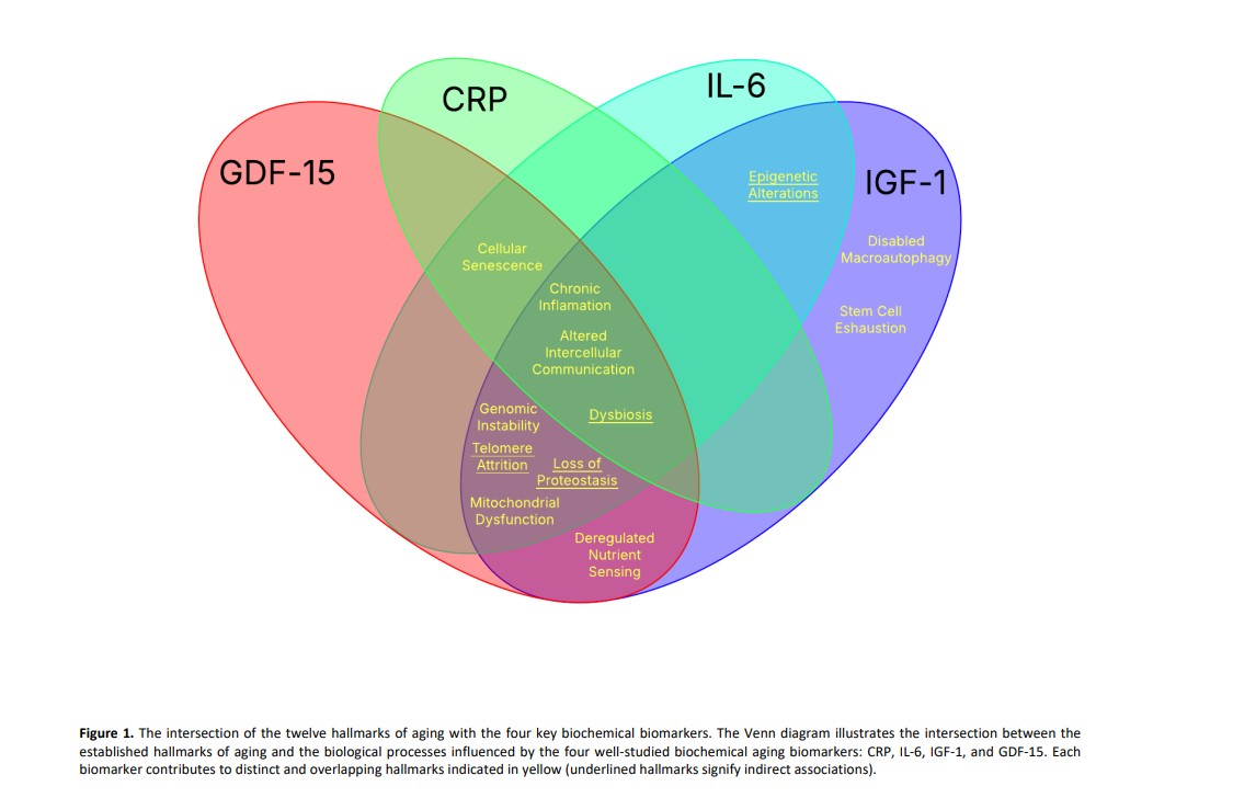 Biomarker Integration and Biosensor Technologies Enabling AI-Driven Insights into Biological Aging