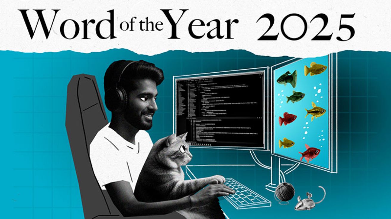 콜린스 사전 "2025 올해의 단어는 '바이브 코딩'… AI 시대 코딩 혁명 상징"